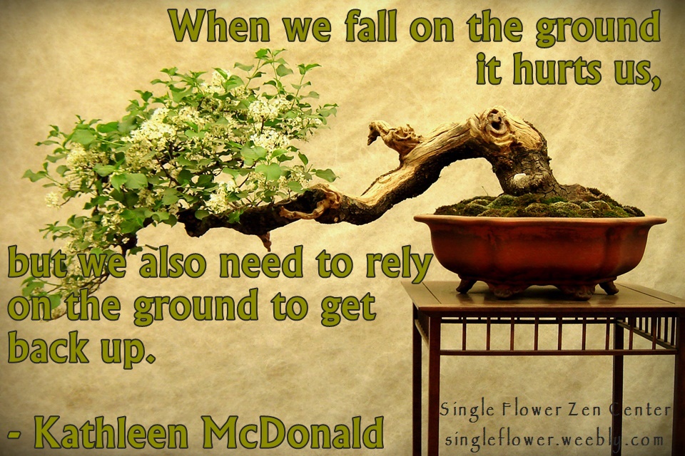 Bonsai from FreeImages